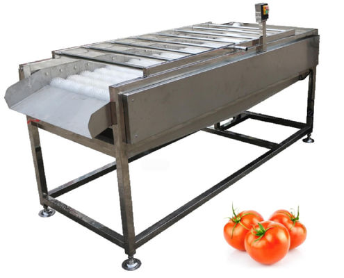 500kg/h de Installatiemateriaal van de voedselverwerking, de Plantaardige Wasmachine van de Fruitborstel