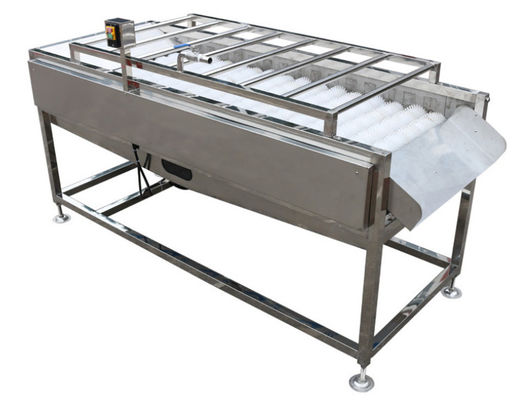 500kg/h de Installatiemateriaal van de voedselverwerking, de Plantaardige Wasmachine van de Fruitborstel