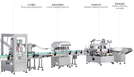 6 hoofd Dubbele Partijen die Machines SS304 etiketteren Automatische Schroef het Afdekken Machine