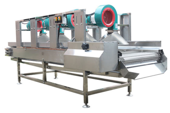 SS304 de Machines van de voedselverwerking, 500kg/h drogen Fruitmachine aan de lucht