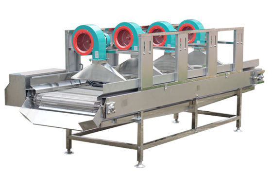SS304 de Machines van de voedselverwerking, 500kg/h drogen Fruitmachine aan de lucht