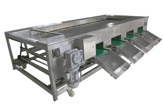 2000kg/h de Machines van de voedselverwerking, Plantaardig Fruit Sorterend Materiaal